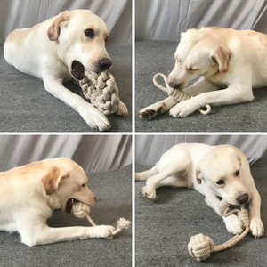 Büyük boy doğal kenevir köpek oyuncaklar Bite direnci kenevir halat köpek çiğnemek oyuncak seti - Product Image 5