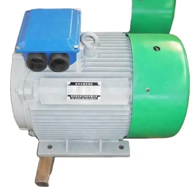 Werkspreis Lichtmaschine 22 kW 250 U/min. verwendet für Windgenerator und Wasserkraftgenerator Strom niedriges Drehzahl-Gleichmaschine
