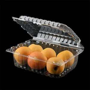 Custom Food Safety Grape Fruit Tray Transparent Square Clamshell PET Disposable Plastic Food Box With Lid