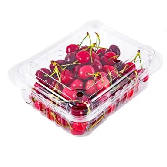 Taze meyve sebze için toptan tek kullanımlık plastik gıda kabı