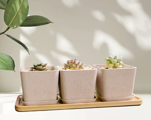 Ensemble de pots à herbes avec plateau en bambou, lot de 3 pots d'intérieur pour <span class=keywords><strong>basilic</strong></span>, menthe, origan, jardin d'herbes aromatiques pour fenêtre de cuisine - Product Image 4