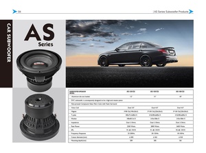 Haut-parleur de woofer de voiture DIBEISI logo personnalisé en gros (JAMAIS AU DÉTAIL) 6.5/8/10/12/15/18 pouces subwoofer spl audio de voiture AS6501 - Product Image 6