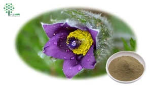 Tự nhiên cyanotis arachnoidea chiết xuất bột 20-hydroxyecdysone 95% <span class=keywords><strong>Beta</strong></span> <span class=keywords><strong>ecdysone</strong></span> hplc thử nghiệm nhà máy chiết xuất - Product Image 2