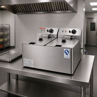 Friteuse électrique professionnelle en acier inoxydable 6L/2x6L, friteuse électrique de comptoir pour restaurant