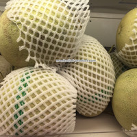 Filet en mousse transparent pour fruits, vente en gros,