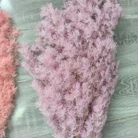 Vente en gros d'usine Fleurs séchées Fleurs préservées Ming Fern Asparagus Fern Bouquet - Longue durée 3-5 ans Cadeau élégant pour la maison/mariage