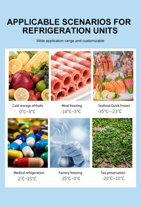 Phòng lạnh kho lạnh cỡ lớn, thiết bị làm lạnh đi bộ trong kho lạnh, thiết bị làm lạnh kho lạnh, cụm máy nén lạnh, giá kho lạnh - Product Image 6