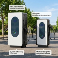Station de recharge rapide pour véhicules électriques 160 kW IP54 DC avec CCS2 haute puissance pour parkings commerciaux, montage au sol avec certification CE