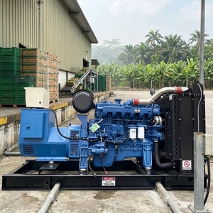Groupe électrogène diesel silencieux Yuchai 450KW 562.5KVA triphasé certifié EU3 pour base de transformation de bananes tropicales en Équateur, résistant à l'humidité - Product Image 4