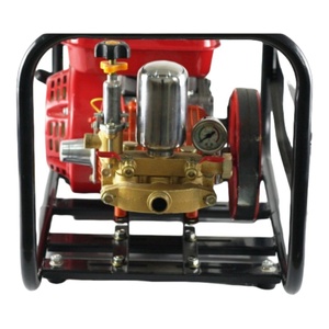 Spruzzatore Portatile a Benzina con Pompa a Pistone da 22mm, Nuovo, per Uso Domestico e Agricolo - Product Image 2