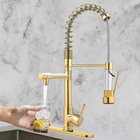 Robinet d'évier de cuisine série avec robinet à ressort commercial à douchette rétractable