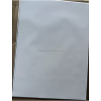 Feuille de flocage en nylon de 0,6 mm pour la sérigraphie et le transfert sur vêtements
