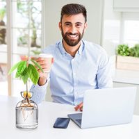 Vase moderne en verre borosilicate transparent en forme d'avocat ou de gland pour la propagation de plantes d'intérieur et une décoration intérieure sereine