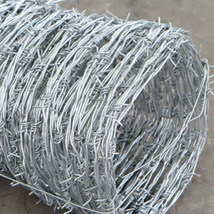 Alambre de Púas Galvanizado en Caliente, Precio de Fábrica, Entrega Rápida, Rollo de Alambre de Púas Anti-Escalada, Protección de Seguridad para Aeropuertos - Product Image 2