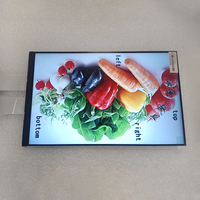 Écran LCD TFT industriel 8,4 pouces 1600x2560 400 Nits Interface MIPI Appareil portable Fabricant OEM ODM