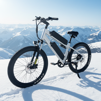 Vélo de montagne Lantu Ebike Mtb 27,5 pouces 750W avec double batterie