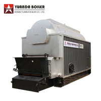DZL - Chain Grate Industrial Solid Fuel Wood Rice Husk Biomass Coal Fired Steam Boiler for Sale