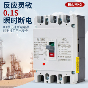 Interruptor Automático Termomagnético de Caja Moldeada de Plástico Rm1 250l 4300 4p, 65ka, 400v, 50hz - Product Image 5