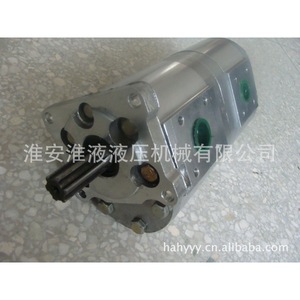 ปั๊มเกียร์คู่แบบสั่งทำพิเศษ CBNl-F563/F525 - Product Image 1