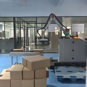Sistema de Paletización Robótica Colaborativa con Pinzas Dobles y Brazo de Largo Alcance para Operaciones de Apilado - Product Image 2