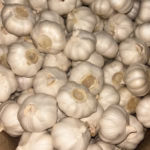 Bawang putih pemasok Cina 5.0 4.5 5.5cm UKURAN 20kg tas paket sayuran Ajo dengan kualitas terbaik - Product Image 5