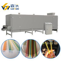 Machine automatique de fabrication de pailles à boire en riz comestible, ligne de production d'extrusion de pailles en tapioca biodégradable