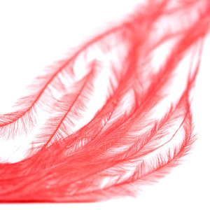 Decoración de Uñas con Plumas Naturales Delgadas, 8 Colores, Accesorios para Manicura DIY, Material Auxiliar al por Mayor - Product Image 3
