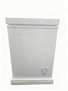 Congélateur économe en énergie 61L <span class=keywords><strong>pour</strong></span> fruits et légumes <span class=keywords><strong>pour</strong></span> bureau et dortoir de petite capacité - Product Image 3