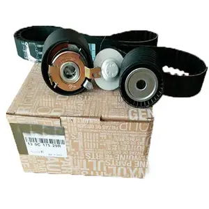 Highly Quality Car Parts Timing Belt Kit For Renault 130C17529R