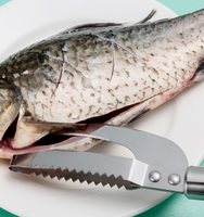 Couteau à écailles de poisson en acier inoxydable, outil de découpe en métal, outil de filetage, éplucheur rapide pour enlever la peau, éliminer les points de rayures, nettoyer, éplucheur de poisson, écailleur