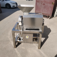 Kersen mango tomaat druif aardbei guave lychee passievrucht pruim appel fruit ontkerningsmachine sapmachine