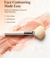 Pinceau éventail en poils de chèvre naturels super doux et moelleux, marque privée, pour fard à joues, poudre, maquillage du visage, kit d'outils cosmétiques