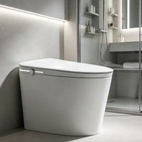 WC intelligent automatique populaire, économie d'eau 4,8 L, double filtration, séchage à air chaud pour l'ingénierie hôtelière