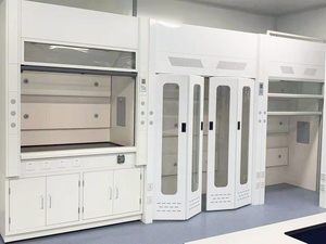Customized Metal <strong>Laboratory</strong> Furniture School Chemical Fume Hood - Product Image 6