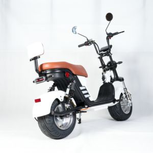 Entrepôt du brésil Moto Vélo Essence Tricycle Deux Roues 250W Citycoco Scooters Électriques Chopper Scooter - Product Image 1