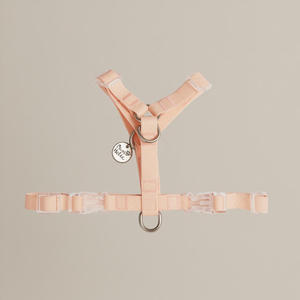 Arnés para perros de lujo en forma de Y impermeable Rosa M con características reflectantes transpirables recubierto de PVC diseño Simple de moda al por mayor - Product Image 1