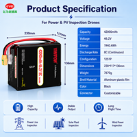 Smart BMS 42000mAh 46.2V 8C Baterai LiCoO2 Semi-solid State dengan Proteksi Pengisian Berlebih untuk Armada Drone OEM Custom Plug
