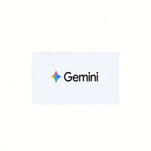 Gemini 3.0 Veo Member Pro รุ่นชำระเงิน ฉบับพัฒนาขั้นสูง อัปเกรดพิเศษ 1 ปี - Product Image 1