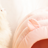Nouveau Lit pour Chat Personnalisé en Forme de Trou d'Arbre, Doux et Chaud, en Peluche, avec Coussin en Coton PP, Robuste, OEM ODM, Protection Optimale