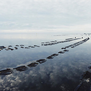 Tinh khiết <span class=keywords><strong>PE</strong></span> nuôi trồng thủy sản lưới cho cá chăn nuôi HDPE Oyster túi và hộp - Product Image 4