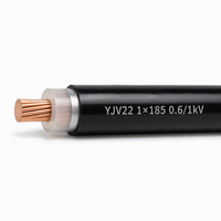 Câble d'alimentation blindé YJV22 1 conducteur 1*185 0,6/1kV en cuivre isolé XLPE avec bande d'acier blindée et gaine PVC type NH