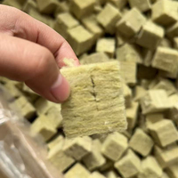 Petits cubes Shengding pour la culture hydroponique des semis - Système de serre écologique et économe en eau