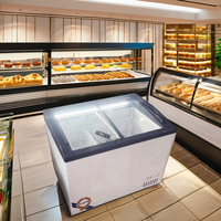 Congélateur de crème glacée à température unique utilisé à porte ouverte à vendre
