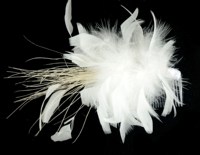 Pince à cheveux fleurie avec plumes pour femme, accessoire de coiffure pour mariée, mariage, cocktail, thé, derby, chapeau de costume