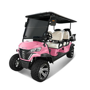 BETETEK Voiturette de golf électrique pure 2 places, compacte et facile à stationner, idéale pour les cours de golf privés et les routes non publiques - Product Image 5