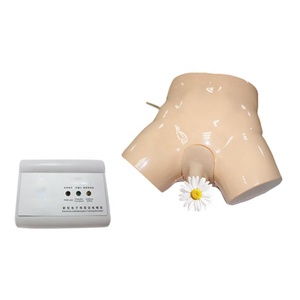 SC-H1D Manikin Huấn Luyện Y Tế Mô Phỏng Catheter Niệu Đạo Điện Tử Cho Người Lớn Và Mô Hình Enema - Product Image 1