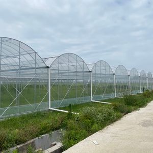 Película plástica de invernaderos de túnel polivinílico de bajo precio para planta de cerezo - Product Image 6