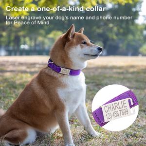 Etiqueta de identificación personalizada, <span class=keywords><strong>Collar</strong></span> de perro de nailon, <span class=keywords><strong>Collar</strong></span> duradero multicolor para mascotas con grabado láser, placa de nombre personalizada - Product Image 2