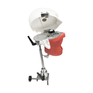 Plastic Dental <b>Training</b> Phantom <b>Head</b> Model Simulator Manikin with Teeth for Dental Practice and Education Equipment Unit - Product Image 6