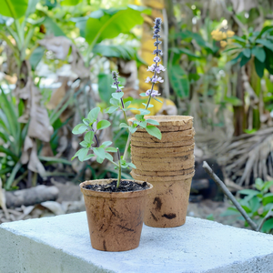 Pot en fibre de coco Eco2go Vietnam en gros, carré, léger, biodégradable, avec trou de drainage pour plantes suspendues ou au sol - Product Image 1